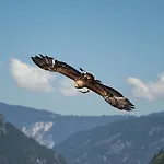 Zangerl 아파트 *