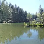 Zangerl 아파트 *