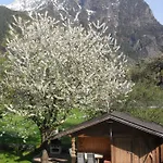 Zangerl